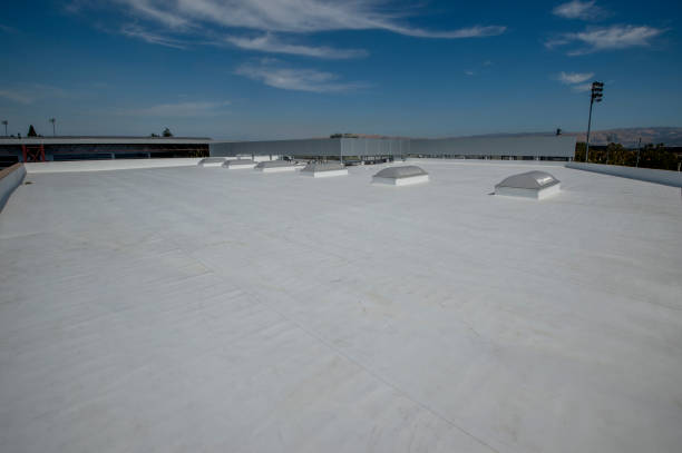 Best Asphalt Shingle Roofing  in Maumee, OH