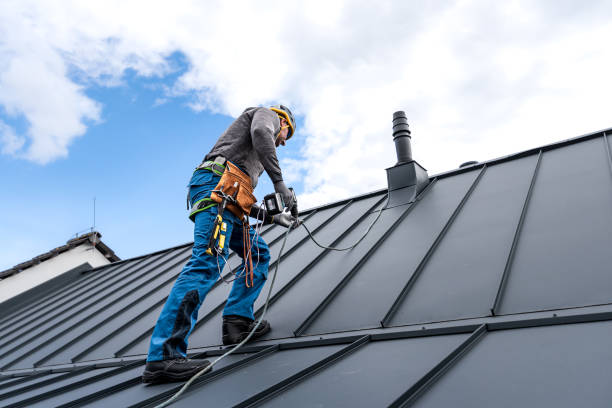 Best Skylight Installation and Repair  in Maumee, OH